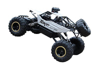 Geländegängiger 4x4 RC-Monstertruck für Kinder und Erwachsene