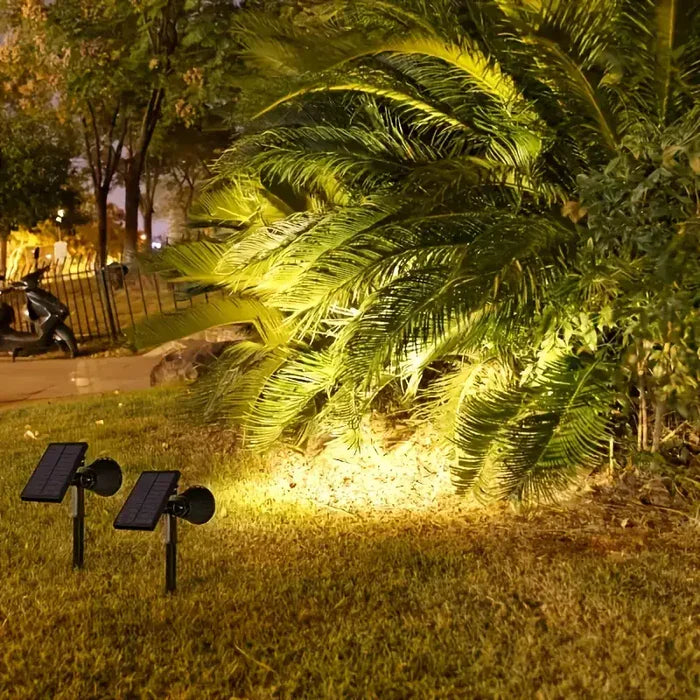 Solarbetriebene Gartenstrahler beleuchten Palme, energiesparende Außenbeleuchtung, Nachtaufnahme.