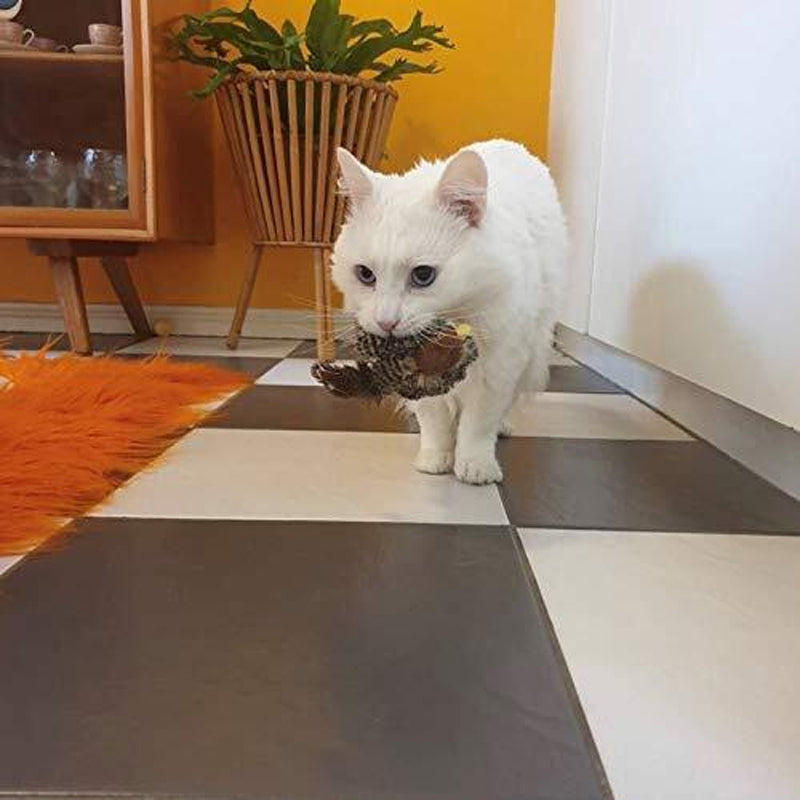 Weißer Katze mit Spielzeugvogel im Maul auf schwarz-weißem Fliesenboden, Wohnzimmer.