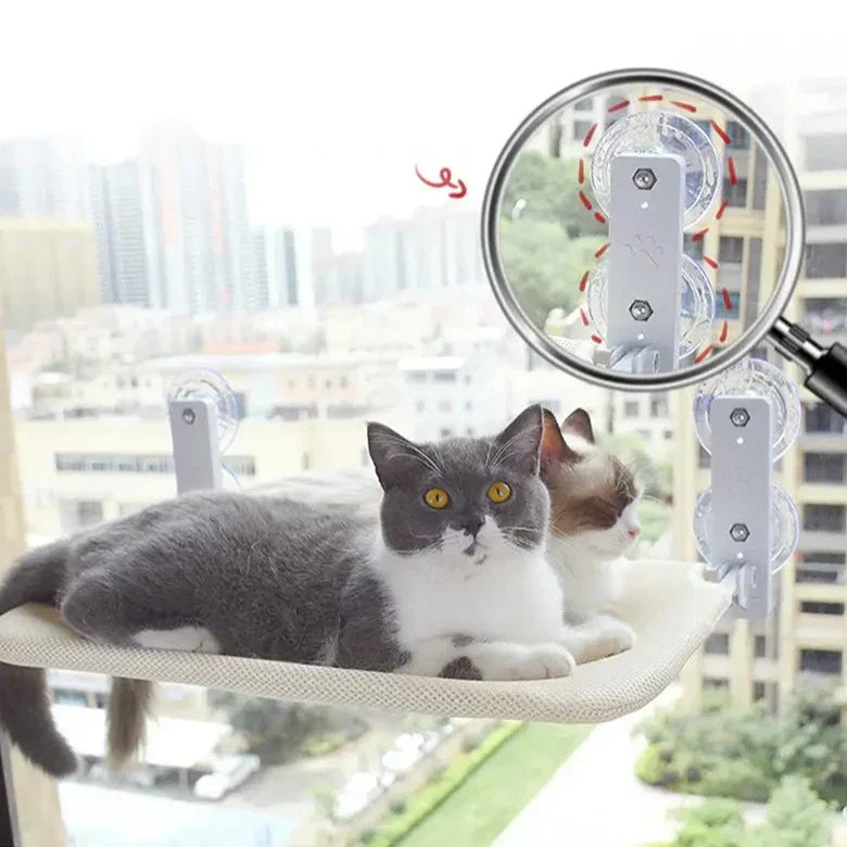 Katzenfensterliege mit Saugnäpfen, beige, für Fenster, Katzenbett, stabil, bequem, Aussicht.