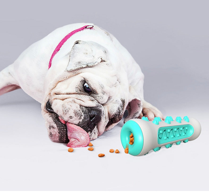 Zahnreinigendes Kauspielzeug für Hunde – Chewly