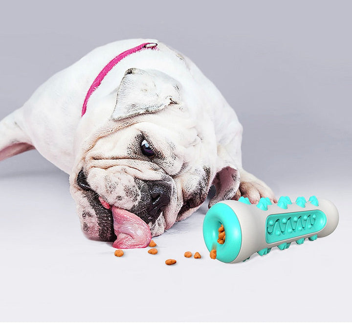 Zahnreinigendes Kauspielzeug für Hunde – Chewly