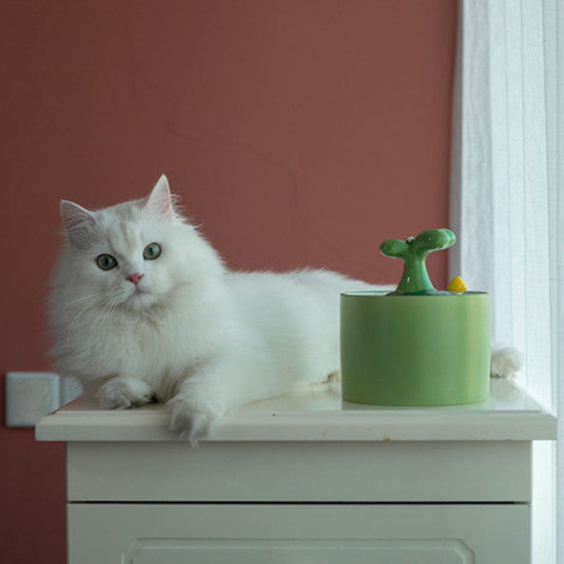 Weiße Katze neben grünem Luftbefeuchter auf weißem Tisch vor roter Wand.