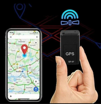 Mini-GPS-Tracker mit weltweiter Abdeckung - GuardianTrack
