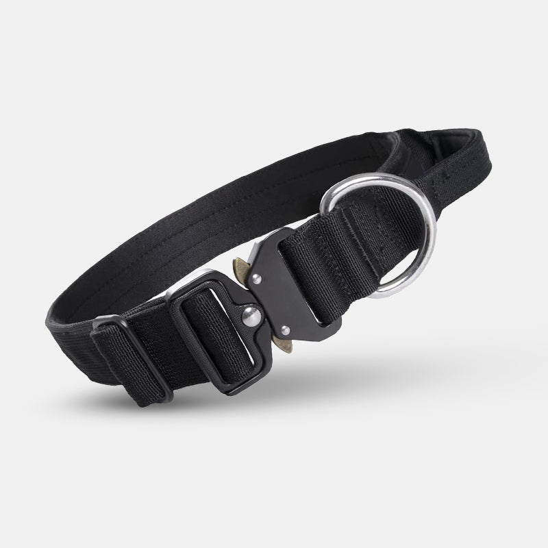 Schwarzes Hundehalsband aus Nylon mit Metallschnalle und D-Ring, robust und verstellbar.