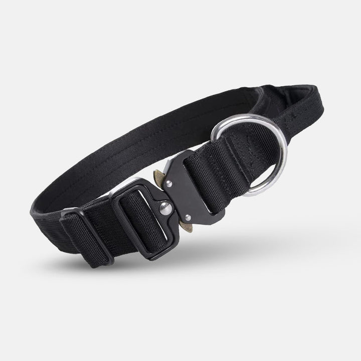 Schwarzes Hundehalsband aus Nylon mit Metallschnalle und D-Ring, robust und verstellbar.