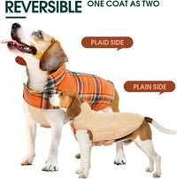 Beagle mit wendbarem Hundemantel, kariert und beige, warm, stilvoll, Herbst-Winter-Bekleidung.