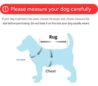 Wasserfeste Winter-Hundejacke - SnowRover