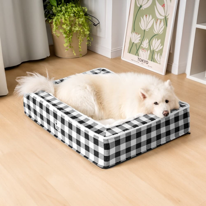Weißer Hund auf schwarz-weiß kariertem Hundebett, gemütlich, modernes Wohnzimmer, Holzboden.