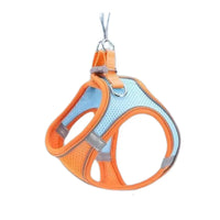 Verstellbares Katzengeschirr mit Leine – WhiskerWander