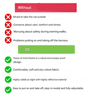 Verstellbares Katzengeschirr mit Leine – WhiskerWander