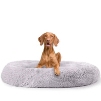 Beruhigendes Hundekissen - Snoozy