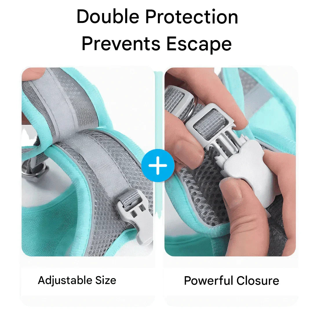 Verstellbares Katzengeschirr mit Leine – WhiskerWander