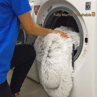 Flauschiges, maschinenwaschbares Hundesofa in Weiß, wird in Waschmaschine gereinigt.