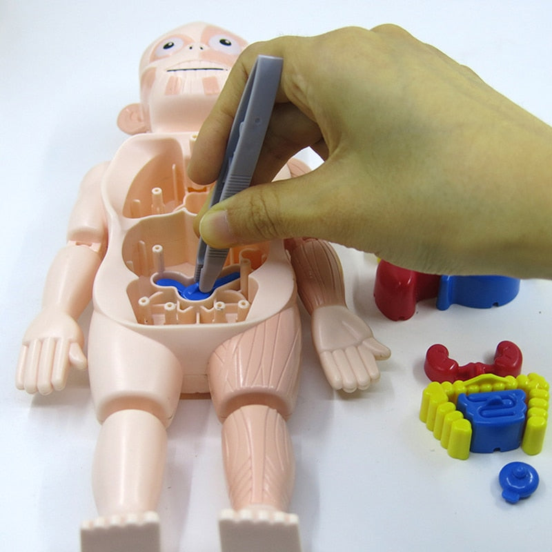 Operando Body Kinder Anatomiepop | Educativ | Interaktiv | 4+ | Organe | Zange ...