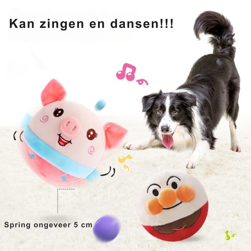 Hund spielt mit singendem, tanzendem Plüschball, rosa Schwein, Border Collie, Spielzeug, Musik.