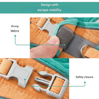 Verstellbares Katzengeschirr mit Leine – WhiskerWander