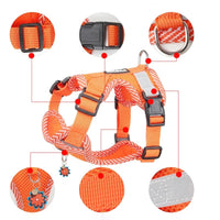 Orange Hundegeschirr, verstellbar, reflektierend, mit Blumenanhänger, strapazierfähiges Nylon.