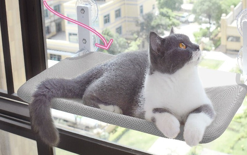 Graue Katzenliege am Fenster mit Saugnäpfen, ideal für Katzen, robustes Netzmaterial.