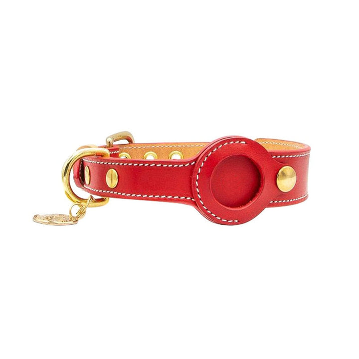 Rotes Lederhalsband für Hunde mit goldenen Beschlägen und Anhänger, stilvoll und robust.