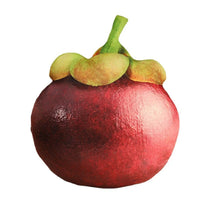 Mangostan Kissen, Simulation Fruchtkissen, rot-grün, Dekoration, weiches Material