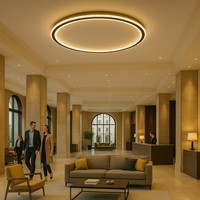 Skandinavische LED Deckenleuchte – Modern, dimmbar & stilvoll für Wohnzimmer, Esszimmer & Flur