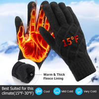 Schwarze beheizte Handschuhe, Fleece-Futter, ideal für kaltes Wetter, Temperaturanzeige 15°F.