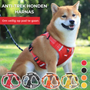 Shiba Inu mit rotem Anti-Zug Hundegeschirr, sicherer Spaziergang, verstellbar, robust.