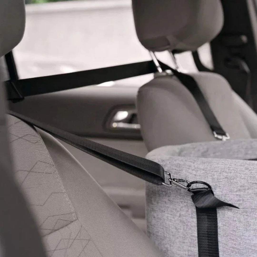Auto Rücksitz Hundesitz, grau, Sicherheitsgurt, Haustiertransport, waschbar, strapazierfähig.