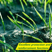 Biologisch abbaubare Rasensamenmatte - Verdi