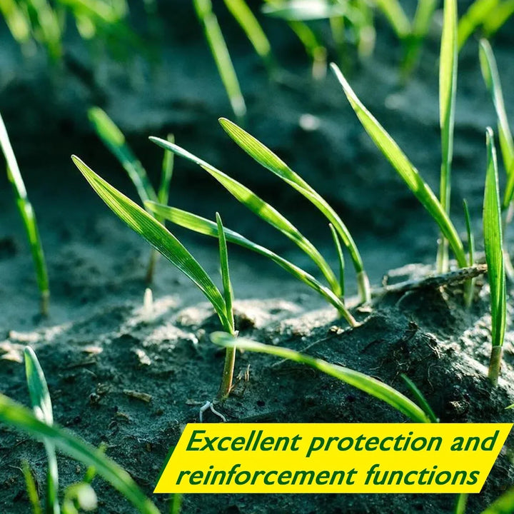 Biologisch abbaubare Rasensamenmatte - Verdi