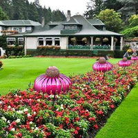Rosa Metall-Vogelfutterspender im Garten, dekorativ, wetterfest, ideal für Vögel anlocken.