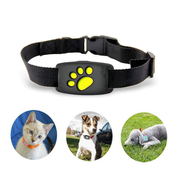 Intelligente GPS-Halsband für Katzen und kleine Hunde – PawTrack