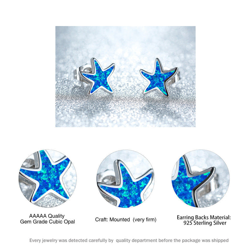 Blaue Stern-Ohrringe, Zirkonia, 925er Sterlingsilber, hochwertiger Schmuck, Damenaccessoire.