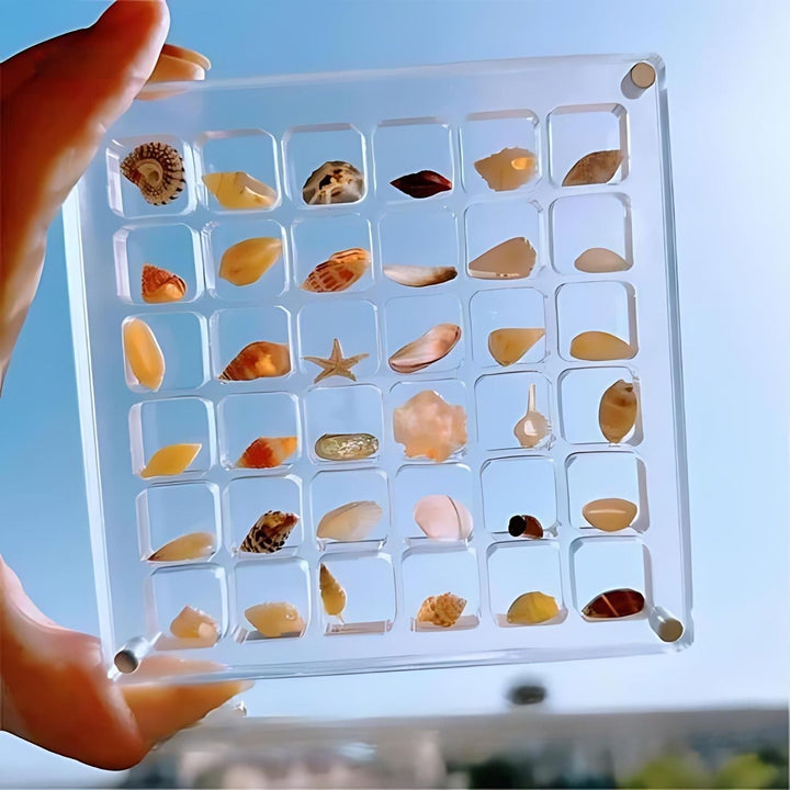 Acryl Vitrine für Sammlerstücke – ClearShell