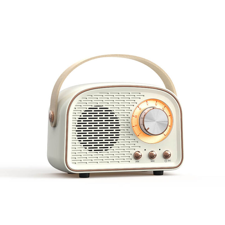 Vintage Bluetooth Lautsprecher mit FM-Radio – RetroVibe
