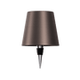 Braune Flaschenlampe, transparent, modern, Metall, für stilvolle Beleuchtung, Inneneinrichtung.