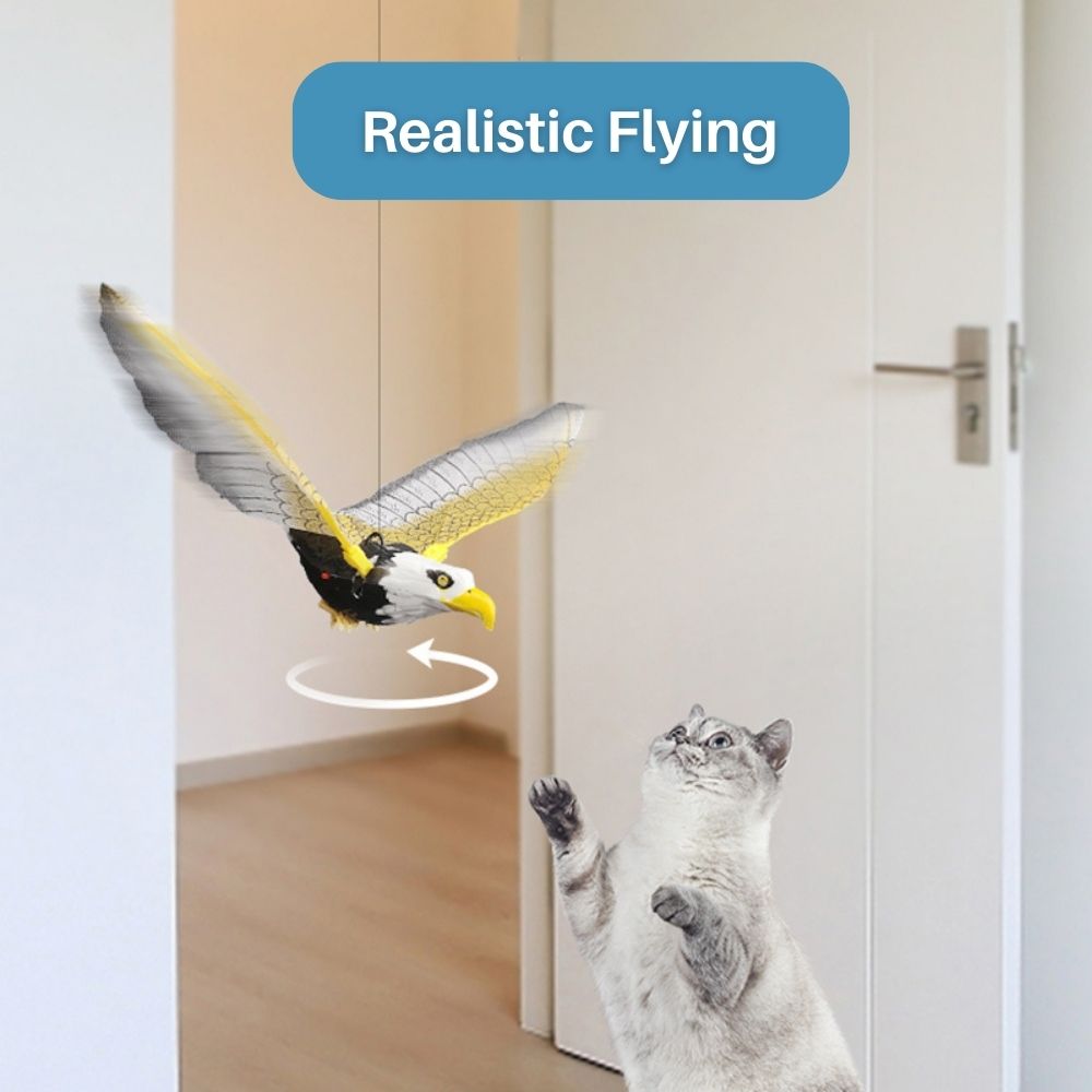 Katze spielt mit realistisch fliegendem Adler-Spielzeug im Innenraum, interaktives Haustierzubehör.