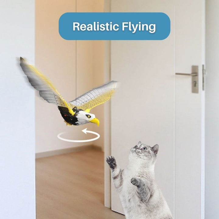Katze spielt mit realistisch fliegendem Adler-Spielzeug im Innenraum, interaktives Haustierzubehör.