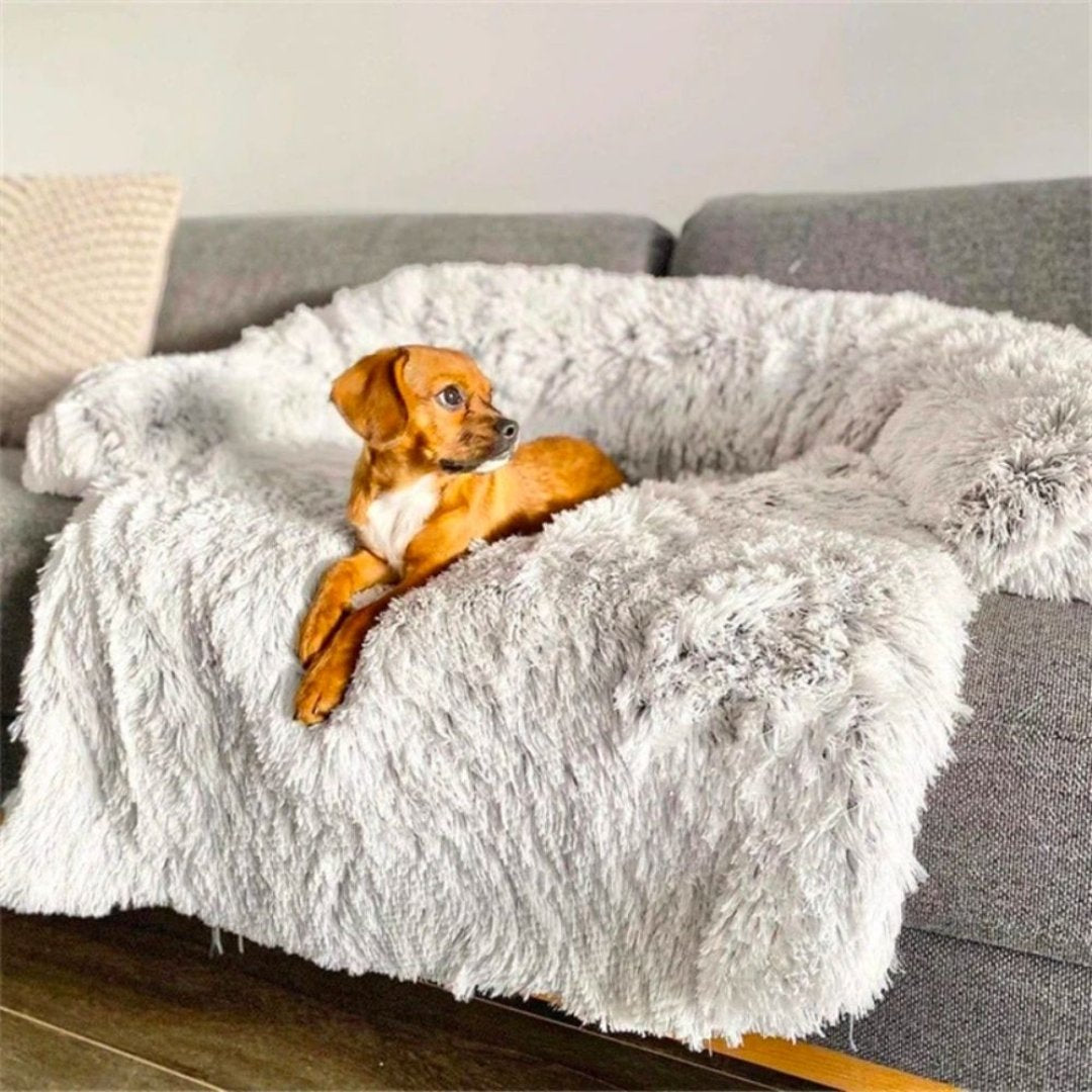 Braunes Hundesofa mit flauschigem, grauem Bezug auf grauem Sofa im Wohnzimmer.