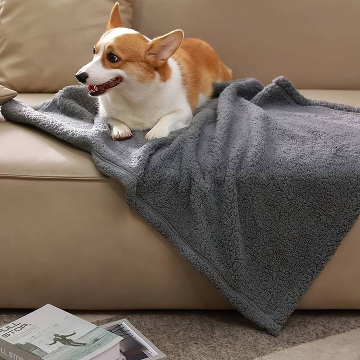 Corgi auf grauer Kuscheldecke auf Sofa, Hundedecke, gemütlich, Wohnzimmer, Haustierfreundlich.