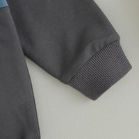 Grauer Baumwollpullover-Ärmel, gerippte Bündchen, weiches Material, modisches Design.