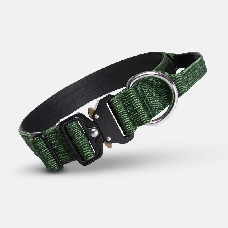 Grünes Hundehalsband aus Nylon mit Metallverschluss und D-Ring, robust und verstellbar.