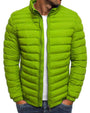 Grüne Herren-Daunenjacke, Stehkragen, Reißverschluss, Wintermode, warm, stylisch.