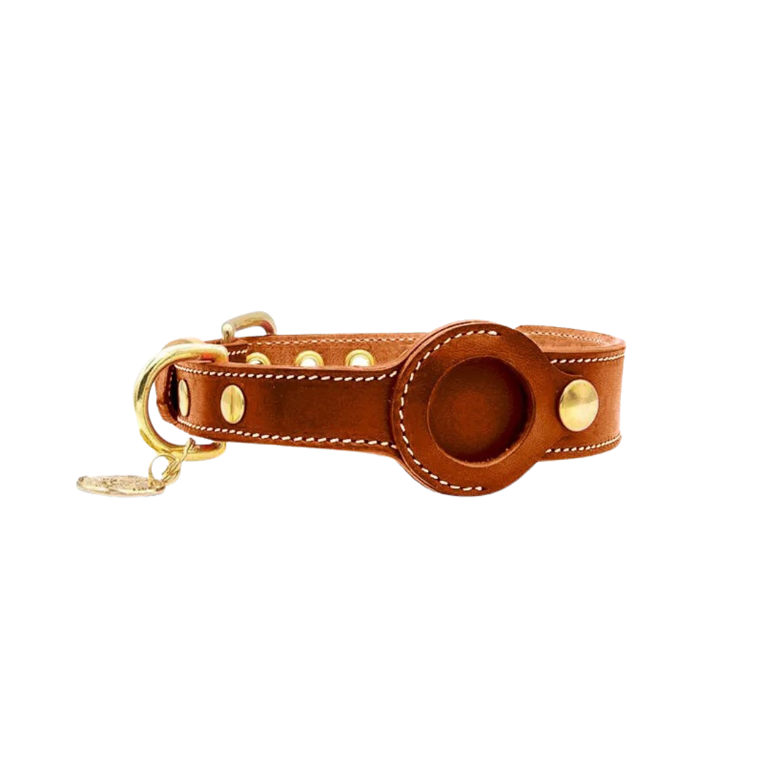 Braunes Lederhalsband mit goldenen Nieten, stilvoller Hundehalsband, hochwertiges Accessoire.