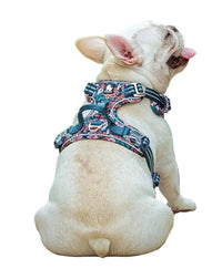 Komfortables & Strapazierfähiges Hunde-Geschirr – Vendo