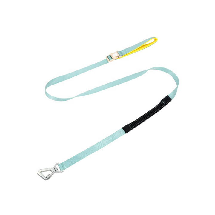 Leichte wasserdichte Hundeleine, hellblau, mit Anti-Zug-Funktion und multifunktionalem Design.