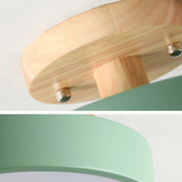 Deckenleuchte Holz Metall grün modern minimalistisch Wohnraumbeleuchtung Design.