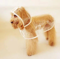 Kleiner Hund im transparenten Regenmantel, wetterfeste Hundebekleidung, niedlicher Haustierlook.
