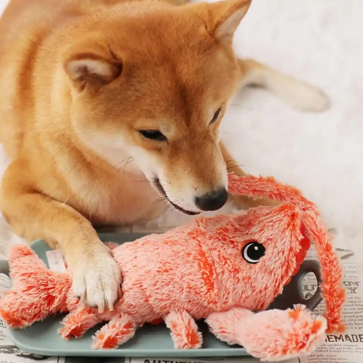 Shiba Inu mit rosa Plüschkrebs auf Zeitung, Hundespielzeug, niedlich, Haustierbedarf.